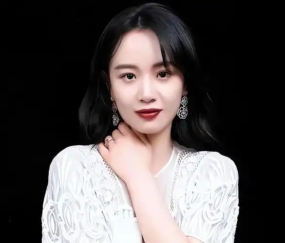 韩国电影超清硬核枪战片